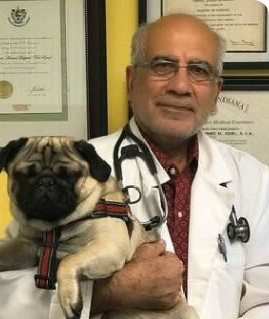 Meet <span>Dr. Nabeel</span>